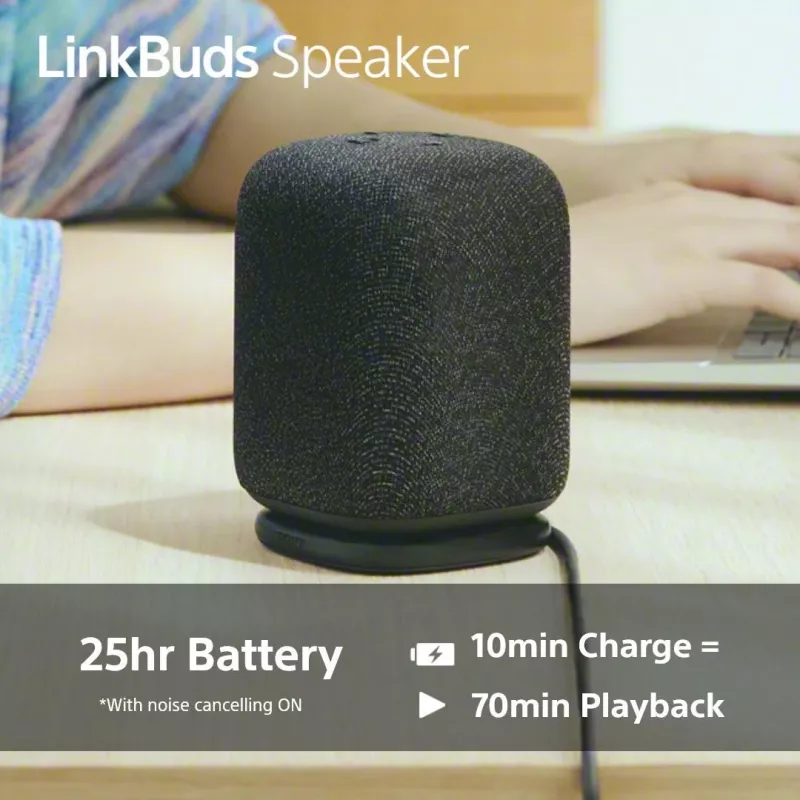 Tragbarer Bluetooth-Lautsprecher Sony SRS-LS1 Schwarz – wasserdicht, kompaktes Design