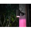 Philips Hue White and Colour Ambience Lily Außenstrahler
