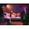 Philips Hue White and Colour Ambience Lily Außenstrahler