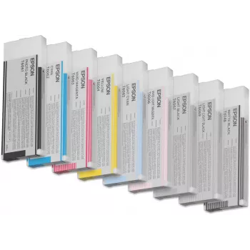 Epson Einzelpackung Light Light Schwarz T606900 220 ml