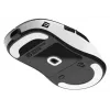Gaming-Maus Endgame Gear XM2we