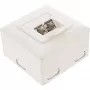 Wandanschlussdose InLine Cat.6 2x RJ45 horizontal — Aufputz- oder Unterputzmontage