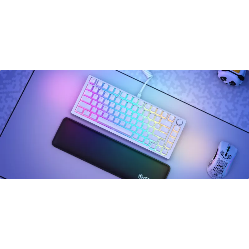 Glorious Gaming Aura V2 Tastenkappe