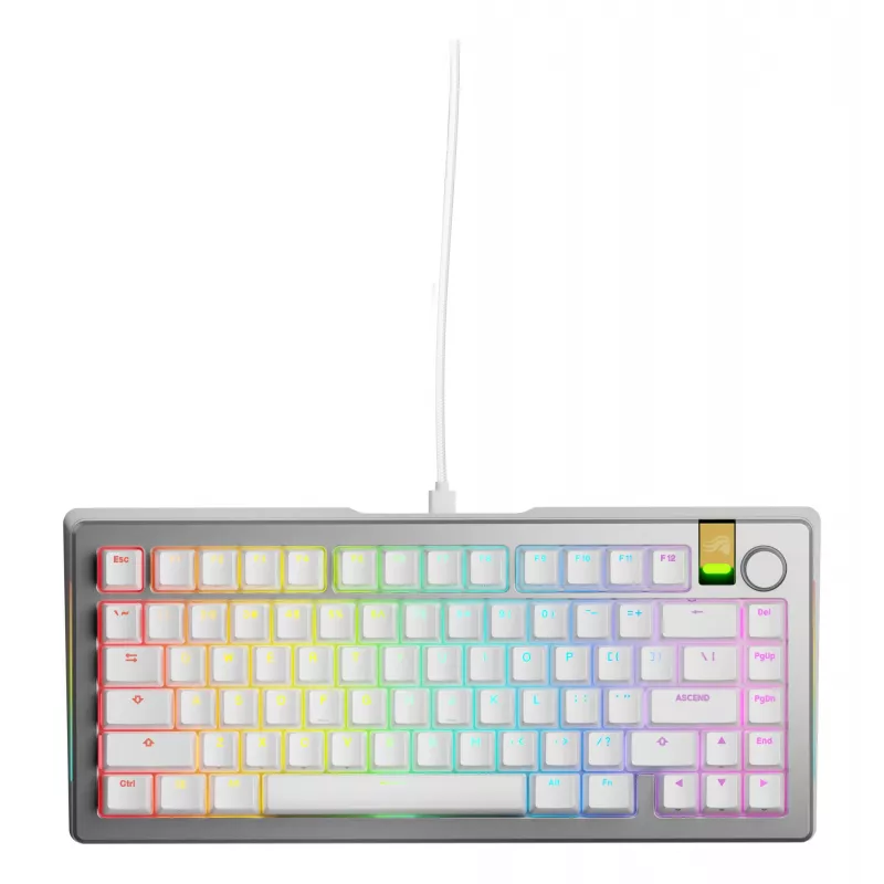 Mechanische Gaming-Tastatur GLORIOUS GMMK 3 PRO HE 75% Prebuilt Kabelgebunden USB QWERTY Silber