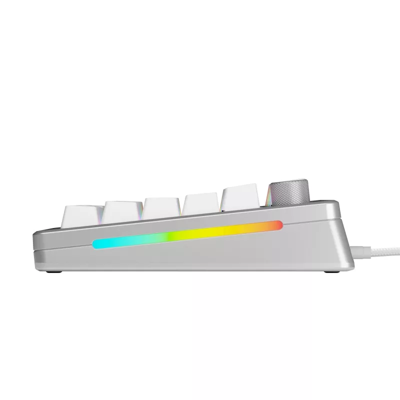 Mechanische Gaming-Tastatur GLORIOUS GMMK 3 PRO HE 75% Prebuilt Kabelgebunden USB QWERTY Silber