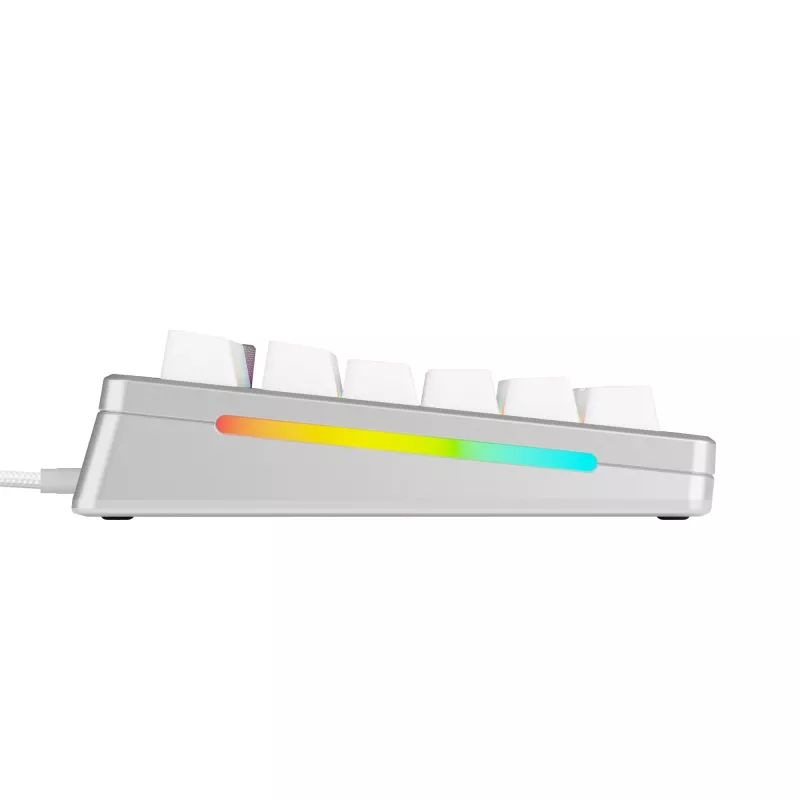 Mechanische Gaming-Tastatur GLORIOUS GMMK 3 PRO HE 75% Prebuilt Kabelgebunden USB QWERTY Silber
