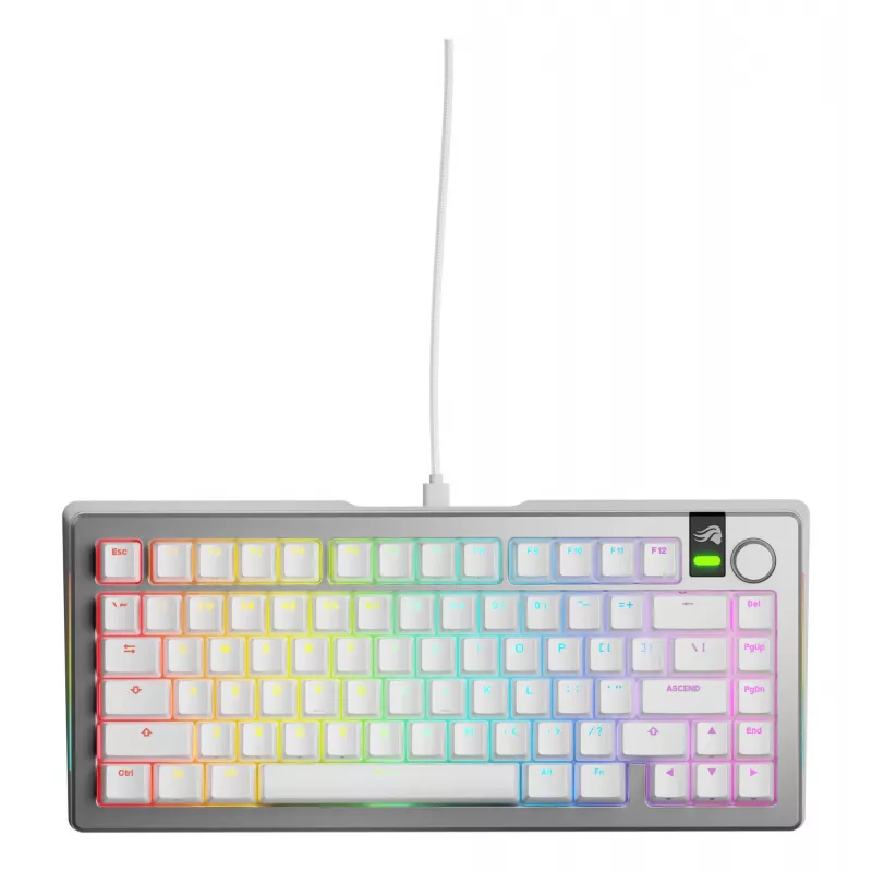 Glorious GMMK 3 Pro 75% Custom Gaming-Tastatur, Pre-Built, kabelgebunden, Fox Switches, ANSI (US), silber