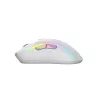Glorious Gaming Glorious Model D 2 Wireless - Mattweiß, Rechtshänder, RF Wireless, 19000 DPI, Weiß