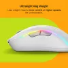 Glorious Gaming Glorious Model D 2 Wireless - Mattweiß, Rechtshänder, RF Wireless, 19000 DPI, Weiß