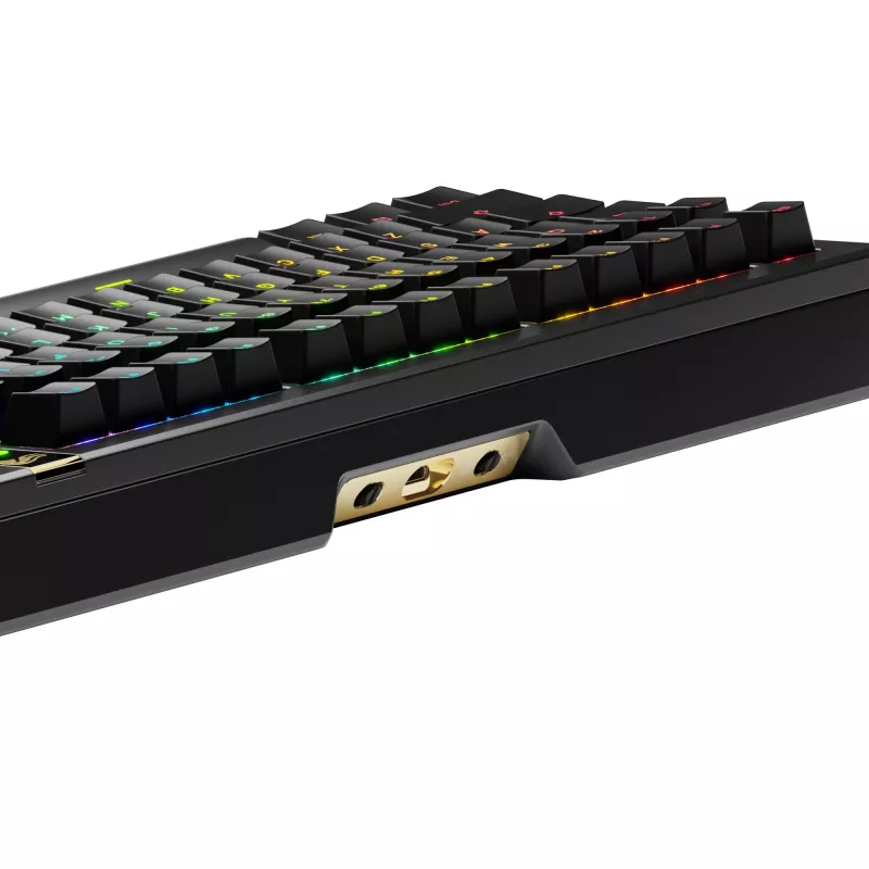 Glorious GMMK 3 Pro HE 75 % Wireless Gaming-Tastatur, Pre-Built, Fox HE Switches, ANSI (US), schwarz