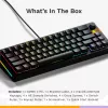 Glorious Gaming GMMK 3 HE 65% Prebuilt Wired Schwarz - US, Kabelgebunden, USB, Mechanisch, QWERTY, RGB LED, Schwarz