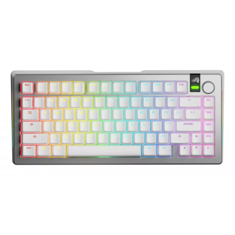 Glorious GMMK 3 Pro 75 % Wireless Gaming-Tastatur, Pre-Built, Fox Switches, US ANSI, silber