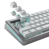 Tastatur-Schalter GLORIOUS Lynx Linear Mechanical Switches — 36 Stück, Polycarbonat, Cyan-transluzent