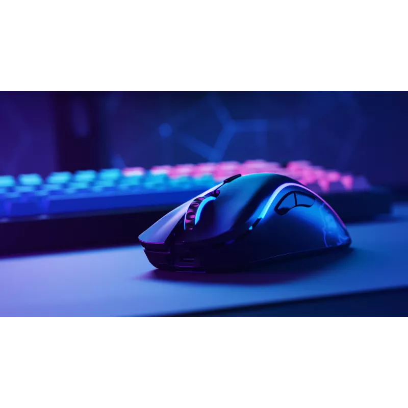 Glorious Gaming Glorious Model D Minus Wireless - Mattschwarz
