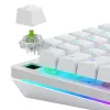 Glorious Gaming Glorious Raptor Clicky Mechanische Switches – 36 Stück
