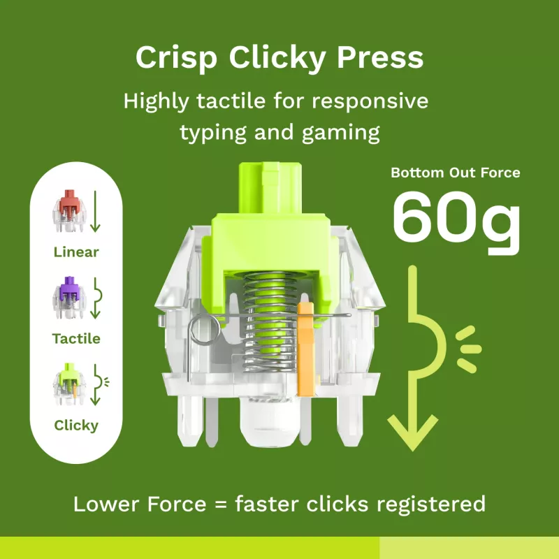Glorious Gaming Glorious Raptor Clicky Mechanische Switches – 36 Stück