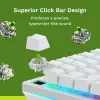 Glorious Gaming Glorious Raptor Clicky Mechanische Switches – 36 Stück