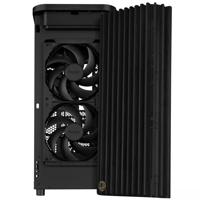 ASUS ProArt PA401 Schwarz