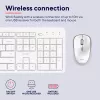 Trust Ody II Tastatur Maus enthalten Home/Office RF Wireless QWERTY US-Englisch Weiß