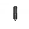 Dynamisches Broadcast-Mikrofon Beyerdynamic M 70 PRO X — kabelgebunden, sprachoptimierter Frequenzgang