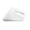 Trust Bayo+ Maus Büro Rechtshänder RF Wireless + Bluetooth Optisch 2400 DPI