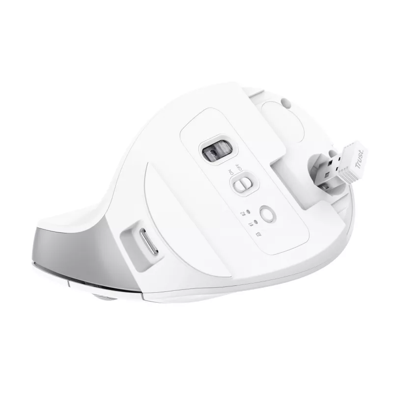 Trust Bayo+ Maus Büro Rechtshänder RF Wireless + Bluetooth Optisch 2400 DPI