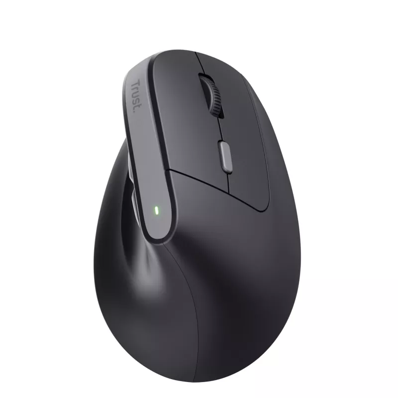 Trust Bayo II Maus Medizinisch Rechtshänder RF Wireless Optisch 2400 DPI