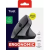 Trust Bayo II Maus Medizinisch Rechtshänder RF Wireless Optisch 2400 DPI