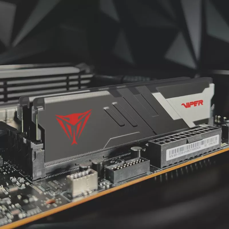 PATRIOT MEMORY Speicher – Viper Venom – 32 GB 2 x 16 GB DDR5 7000 MHz