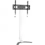 Techly ICA-TR47 schmaler TV-Standfuß, 32–70 Zoll, 40 kg, Weiß