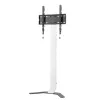 Techly ICA-TR47 schmaler TV-Standfuß, 32–70 Zoll, 40 kg, Weiß