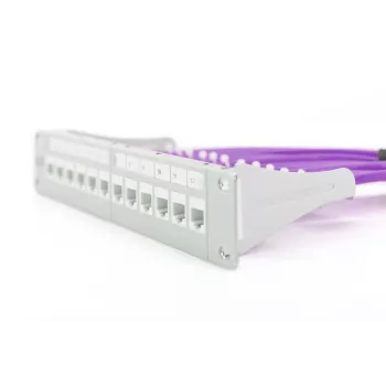 DIGITUS Installationskabel - CAT6 - U/UTP - B2ca - 100 m - Violett