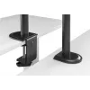 Equip 17 Zoll-32 Zoll verstellbare Quad-Monitor-Tischhalterung