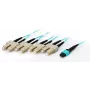 Equip MTP/SC Trunk-Glasfaser-Patchkabel, OM4, 10m, 10 m, OM4, MTP, 4x SC