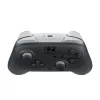 Nintendo Switch 2 Pro Controller