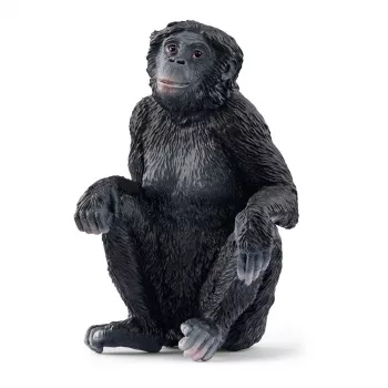 Figurine Schleich WILD LIFE Bonobo Weibchen 14875 Schwarz 3 Jahre