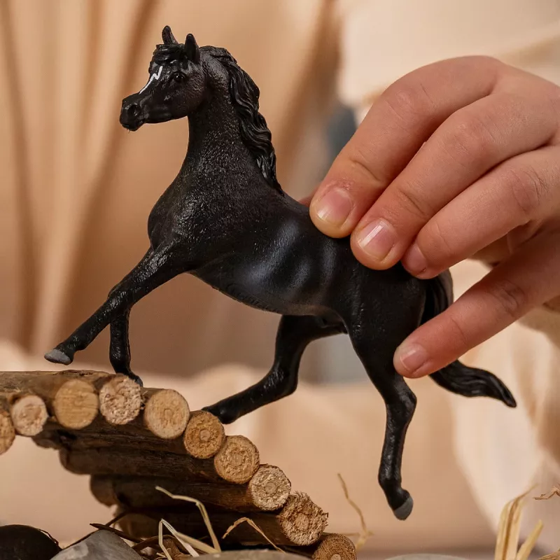 schleich HORSE CLUB Araber Hengst, 5 Jahr(e), Pferde, Schwarz, Grau, Weiß, Kunststoff