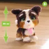FurReal Walkalots Bernedoodle Puppy, Junge/Mädchen, 4 Jahre, mit Geräuschen