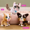 FurReal Poop-a-lots Corgi, Junge/Mädchen, 4 Jahr(e), klingend