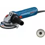 Bosch GWS 12-125 Professional 06013A6104 Winkelschleifer, 125 mm, 1200 W, blau