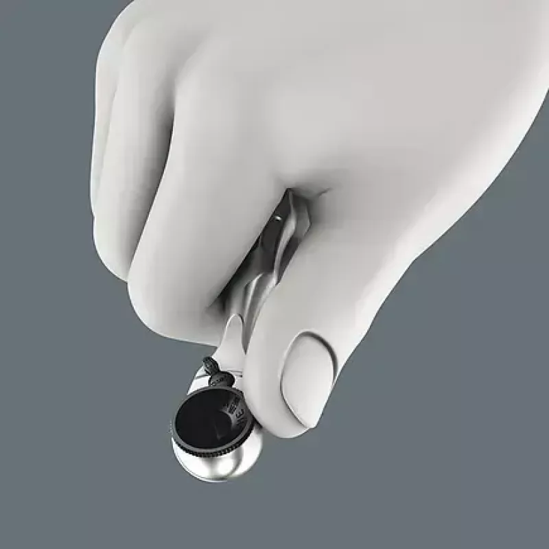 Wera 9532 05136042001 Kettennieter Werkstatt-Set, 20-teilig, inkl. Umschalt-Bitknarre 1/4", schwarz/grün
