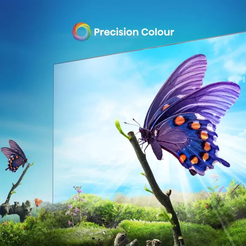 Hisense E6NT 165,1 cm (65 Zoll) 4K Ultra HD Smart TV Wi-Fi Schwarz 300 cd/m²