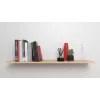 Schraubhaken- und Dübelset Fischer 564173 25 Stück Kunststoff 8 mm