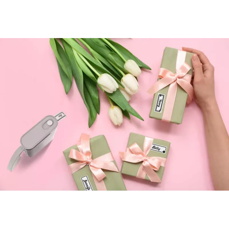 Peach PE110 Etikettendrucker, Thermodirektdruck, Bluetooth, integrierter Akku, weiß