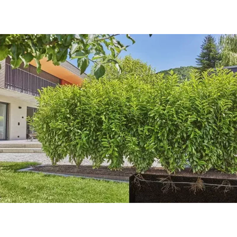 Tropfbewässerungssystem Gardena 13501-20 Schlauchlänge 50 m schwarz