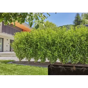 Tropfbewässerungssystem Gardena 13500-20