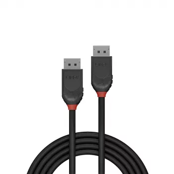 DisplayPort-Kabel Lindy 2m DisplayPort 1.2 Kabel Black Line