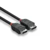 DisplayPort-Kabel Lindy 2m DisplayPort 1.2 Kabel Black Line