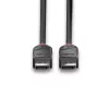 DisplayPort-Kabel Lindy 2m DisplayPort 1.2 Kabel Black Line