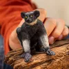 Figur Schleich WILD LIFE Indri Mehrfarbig 14877S Empfohlenes Alter 3 Jahre